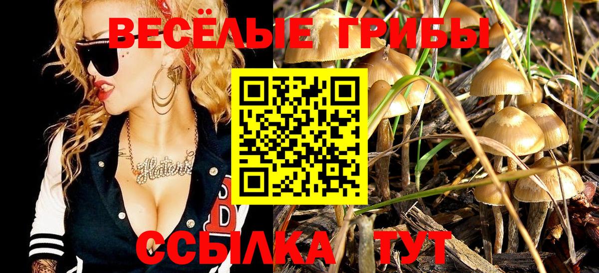 Галлюциногенные грибы GOLDEN TEACHER Рыбинск